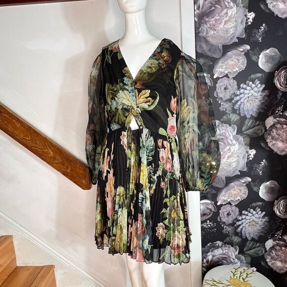 Anthropologie Pankaj & Nidhi Long-Sleeve V-Neck
Cutout Mini Dress/ size M - Picture 5 of 9